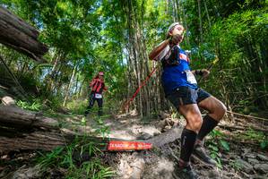 BIB: 
                            <button type="button" onclick="openModal(19389100)" class="btn btn-primary btn-sm float-right btn-popup" data-toggle="modal" data-target=".modal-high-quality">
                        <i class="fas fa-shopping-cart"></i> Add to Cart
                    </button>
                                            <button type="button" onclick="isThisMe(19389100, true)" class="btn btn-success btn-sm float-right btn-popup btn-isme hidden" data-toggle="tooltip" data-placement="bottom" title="นี่คือรูปของคุณใช่ไหม คลิกที่นี่เพื่อเอาเข้าอัลบั้ม">
                        <i class="fas fa-plus"></i> Add to album
                    </button>
                    <button type="button" onclick="isThisMe(19389100, false)" class="btn btn-warning btn-sm float-right btn-popup btn-isnotme hidden">
                        <i class="fas fa-ban"></i> Remove from album
                    </button>